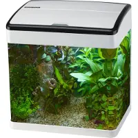 Superfish Panorama 50 - wit
