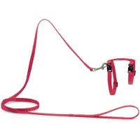 Beeztees Kattentuigje Uni Roze 130 X 1 Cm