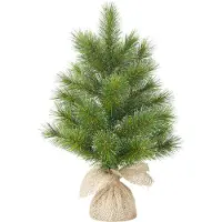 Black Box Mini Kunstkerstboom Glendon Burlap Besneeuwd Op Jute Voet D 23 H 60 Cm