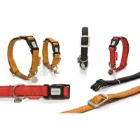 Beeztees - Halsband Hond - Mac Leather - Zwart - 35-50 cm
