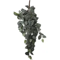 Mica Decorations Kunsthangplant Fittonia H 54 Cm