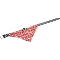 Beeztees Halsband Met Rood Doekje Ø32cm