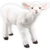 Farmwood Animals Tuinbeeld Lam Wit 52 X 21 X 42,5 Cm