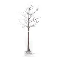 Anna's Collection LED Kerstboom 160 cm | Berk met sneeuw | Extra warm wit | 144 lampjes | Geschikt voor buiten
