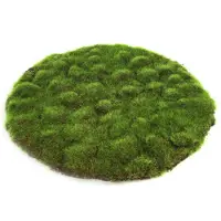 Countryfield Kunstmos Mat Ierland D 30 H 2 Cm