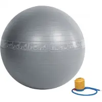 Rs Sports Gymbal RS Sports anti burst met pomp grijs