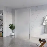FortiFura Galeria Vrijstaande Inloopdouche - 110x200cm - Glas mat - antikalk - 8mm veiligheidsglas - 2 zijwanden 40cm - wandsteunen en hoekprofielen - Chroom SW927766 2x/SW915251/SW797921 2x/SW358024