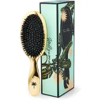 Fan Palm Haarbürste - Medium - Hollywood - - One Size - Haarbürsten