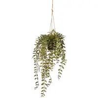 Intratuin Kunsthangplant Peperomia H 78 Cm