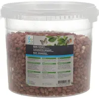 Intratuin Strooivoer Rode Pinda Emmer 2,5 Kg