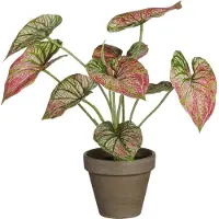 Intratuin Kunstplant Caladium Paars H 28 Cm