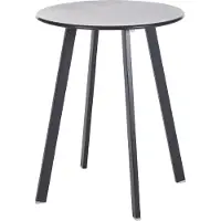 Intratuin Bijzettafel Latte Antraciet D 40 H 50 Cm
