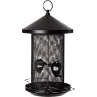 Intratuin Pindasilo Zwart D 19 H 28,5 Cm