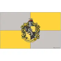 Sihir Dükkani Wizarding World - Harry Potter - Deurmat - Huffelpuf Kuif 45x75cm