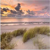 PosterMonkey Poster 50x50 cm - Zonsondergang - Duin - Strand - Planten - Zee - Posters - Kamer decoratie - Wanddecoratie woonkamer - Muurdecoratie slaapkamer