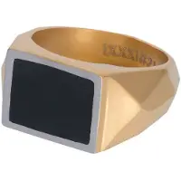 Ixxxi Men-Audi-Goudkleurig Mat-Heren Ring