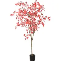 Decostar Countryfield Acer L rood