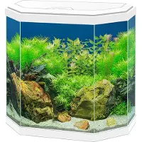 Ciano Aquarium Aqua 30 Led - Wit - 40x20x45,5cm