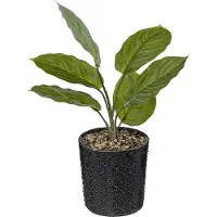 Atmosphera Kunstplant - Plant - H35cm - 2 Varianten - Nacht