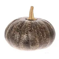HBX natural living Deco Pompoen Ulbing Ø14xh13cm Zwart zwart HBX natural living Decoratief beeld of