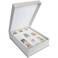 Ixxxi Verzamelbox / Opbergdoos S