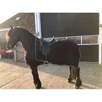 GPD Uitrijdeken fleece zwart/zilver maat L