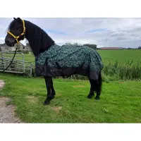 GPD Regendeken luxe 200gram Green/swirl outdoordeken-145