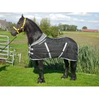 GPD Staldeken luxe met fleecekraag (300gr) goedkopepaardendekens zwart met grijs - maat 195