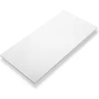 Ecosun E700 Infrarood paneel plafond 119x59 cm 700 W