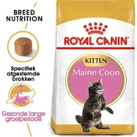 Royal Canin 2x Maine Coon Kitten 4 kg