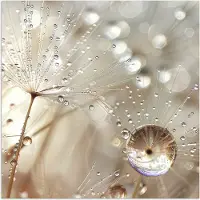 PosterMonkey Poster 30x30 cm - Natuur - Bloemen - Druppels - Regen - Posters - Kamer decoratie - Wanddecoratie woonkamer - Muurdecoratie slaapkamer