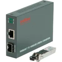 Roline Gigabit Converter, RJ-45 - LC (incl. mini GBIC)