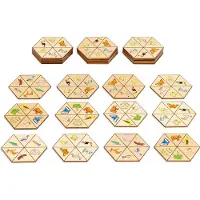 Toys for Life Hexagon natuur speelgoed - Educatief spelend leren voor 3-6 jaar