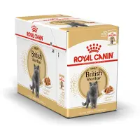 Royal Canin British Shorthair Adult Wet - Kattenvoer