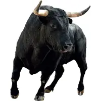 VAN IKKE Muursticker Stier