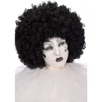 Carnival Toys pruik afro polyester zwart one-size