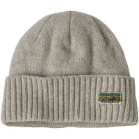 Patagonia Cap Brodeo