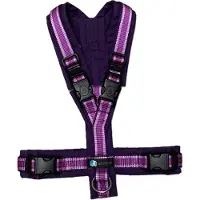 AnnyX Hondentuig - OPEN - Speurtuig -Limited Edition Paars-Lila-WildFlieder - maat XS - Borstomvang 43-52cm