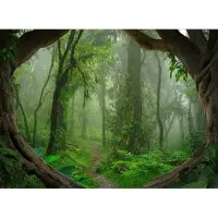 Living Walls Fotobehang Designwalls Tropical Forest (5-delig)