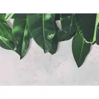 Living Walls Fotobehang Designwalls Leaves Wall 2 (5-delig)