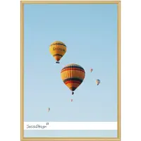SecaDesign Fotolijst - SecaDesign - 30x40 cm Fotomaat - Goud - Posterlijst