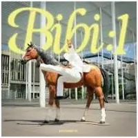 NEWS Porcelain Id - Bibi:1 (LP)