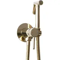 REA Inbouw Bidetmengkraan Lungo Loop Gold