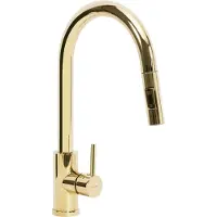 REA Keukenkraan Fresh Gold
