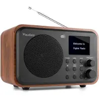 Audizio Milan draagbare DAB radio met Bluetooth, FM radio en accu -