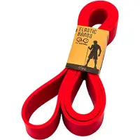 Y&Y VERTICAL - Elastic Bands - Fitnessband 45 kg, rood