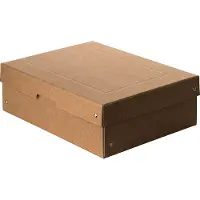 Falken PureBox Nature A4 archiefbox, voor maximaal 1250 vel, met etiketveld, L 320 x B 240 x vulhoogte 100 mm, FSC karton, bruin