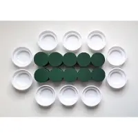Mosy Steekschuim - Rondjes Nat - 10 x Groen - Ø 8 - Hoogte 5 cm + 10 x Kunststof Witte Schaaltjes - Ø 12 cm – Hoogte 3.5 cm - Kerststukje maken-bloemstukje maken - OAS-002