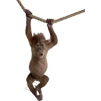 VAN IKKE Muursticker Orang Oetan XL