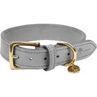 FANTAIL Hondenhalsband Nubu Grijs - Hondenhalsband - 60 cm
